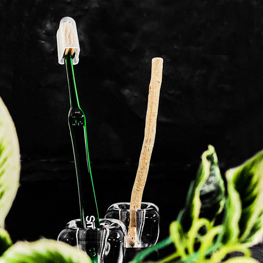 SMART Miswak Toothbrush for Adults – Classic Transparent Design