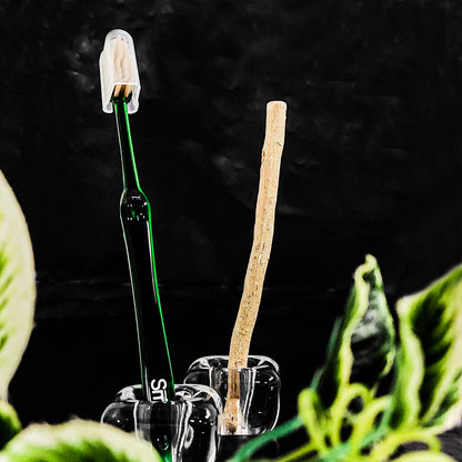 SMART Miswak Toothbrush for Adults – Classic Transparent Design