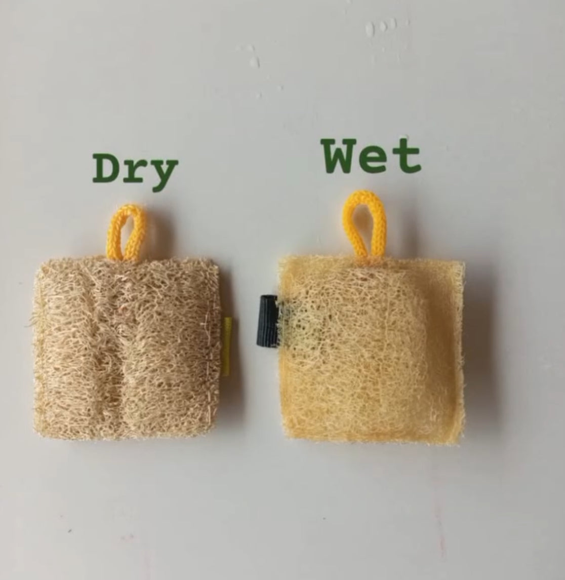 Natural Luffa Exfoliating Sponge
