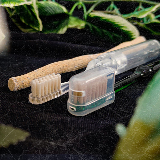 Smart Miswak Toothbrush for Adults – Classic Transparent Design