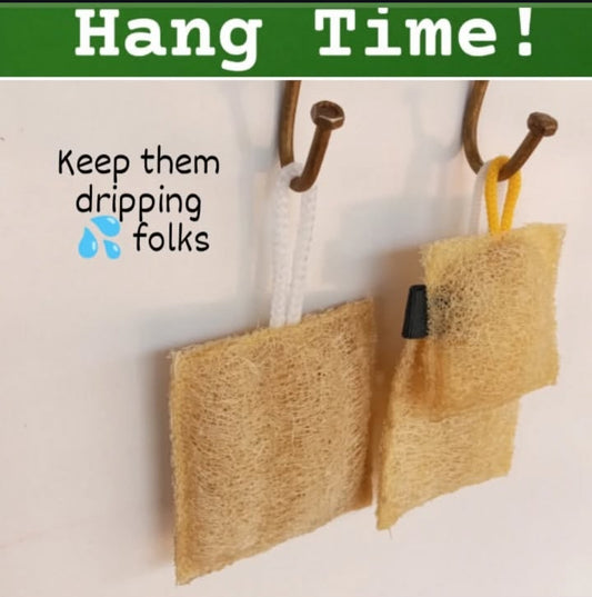 Natural Luffa Exfoliating Sponge