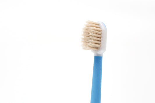 Natural Miswak Toothbrush – Authentic Herbal Oral Care