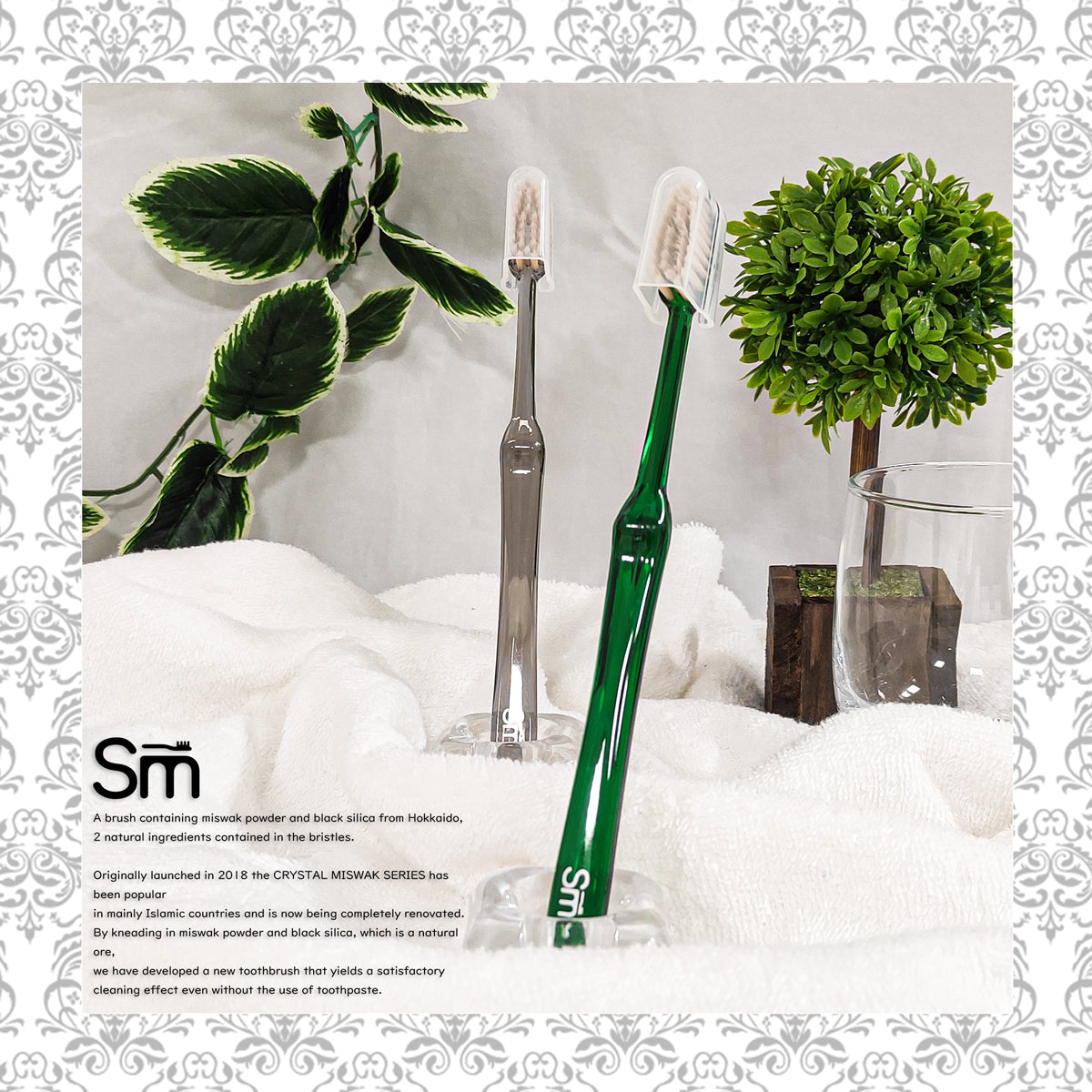Smart Miswak Toothbrush for Adults – Classic Transparent Design